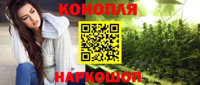 spice Кинель