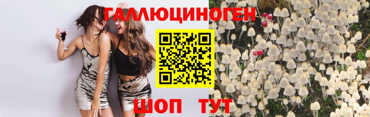 Псилоцибиновые грибы GOLDEN TEACHER  Псилоцибиновые грибы GOLDEN TEACHER  Кострома  Вход с VPN 